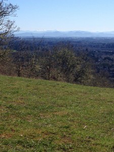 Bald Mountain
